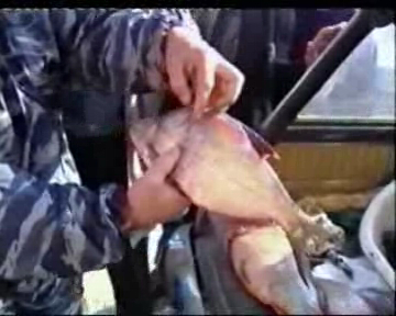 Рыбка из мутной воды. смотреть онлайн