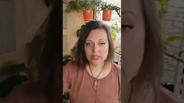 Какую улитку выбрать. Наглядная иллюстрация. смотреть онлайн