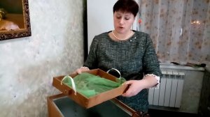 Инкубатор. Какой инкубатор купить для закладки яиц?