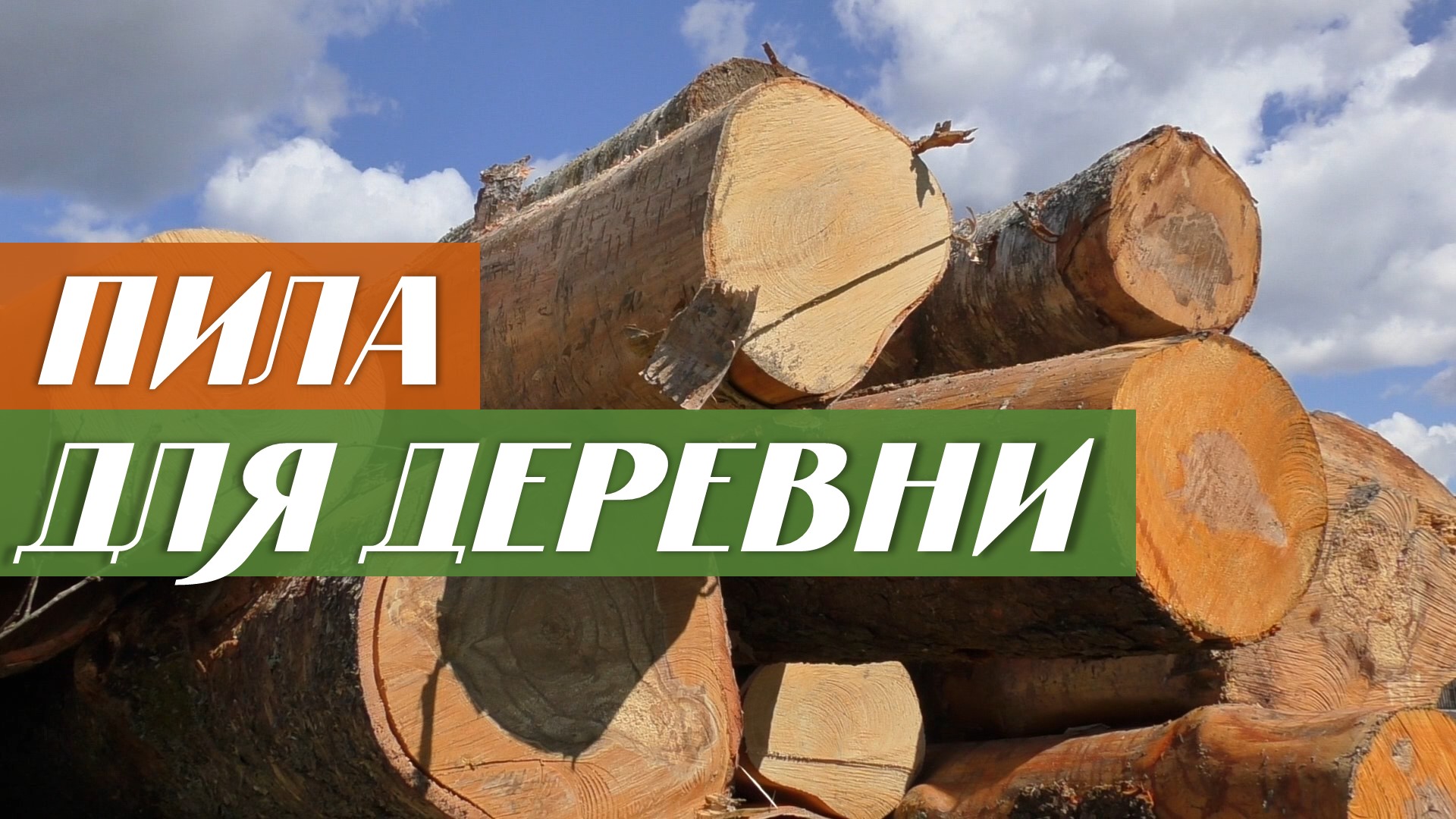 Выбор бензопилы для деревни смотреть онлайн