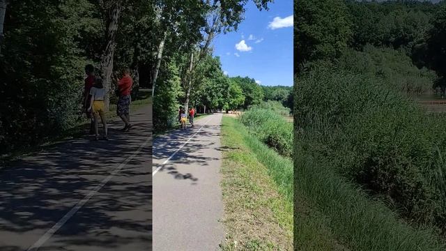 Гуляем в парке Маршалково. Неожиданно на дереве увидели белку.