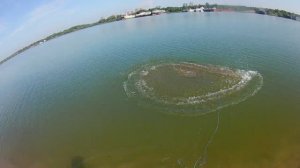Обзор рыбных мест 15 07 2024 г №2 р Иртыш г Омск Ловля живца кастинговой сетью в затоне Лампочка.