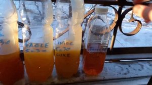 заморозка 5w30 -34. Kixx, Eagle, Sintec, Татнефть Люкс Пао #заморозка #татнефть