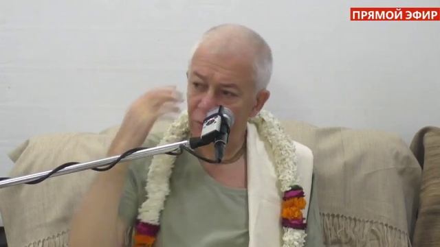 Прямая трансляция пользователя Александр Хакимов. Прямые трансляции