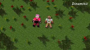 Minecraft Мультики   Майнкрафт Любовь׃ Диллерон и Миникотик Майнкрафт Анимация
