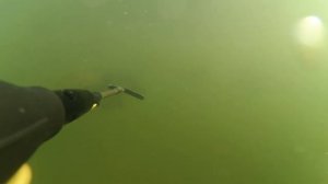 Подводная Охота оз.тосканка
