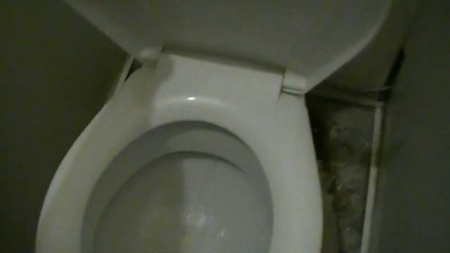 Поменяли унитаз, покрасила пол и батареи 26 августа 2019 смотреть онлайн