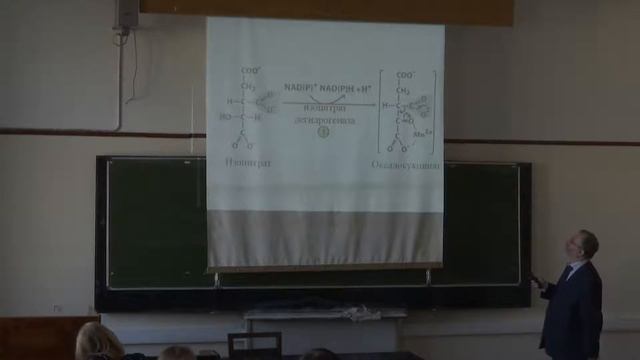 Асеев В. В. - Биохимия - Цикл Кребса