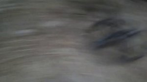 ♔►КОПАРЬ◄♔ ─  Сравнение катушек NEL Tornado 12x13" VS PROformance 6.5x9"