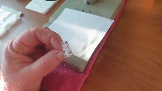 Как определить вид насекомого.