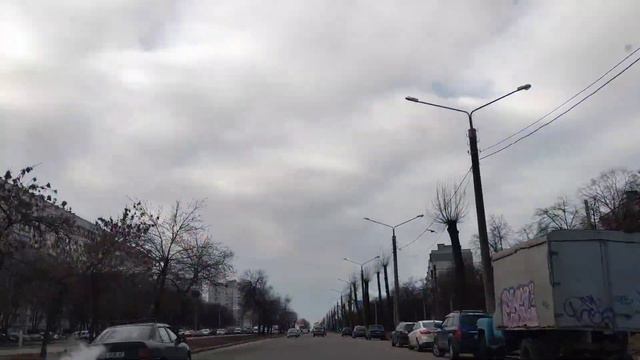 Едем в город/Дана хочет покататься с нами/НАТАЛИЯ БОС смотреть онлайн