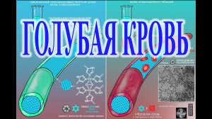 Кровавая история: Голубая кровь.| Виктор Максименков