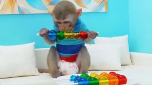 Monkey Baby Bon Bon eat sausage jelly and naughty with ducklings in the swimming pool-(480