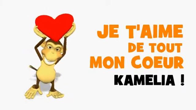 JE T'AIME KAMELIA смотреть онлайн
