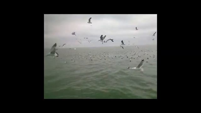 *зимний промысел в Азовском море*