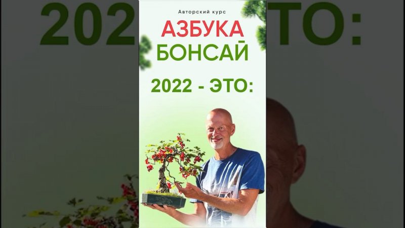 Азбука бонсай - 2022