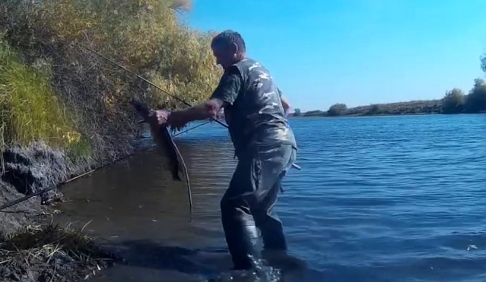 За щукой в Астраханскую область успех гарантирован.