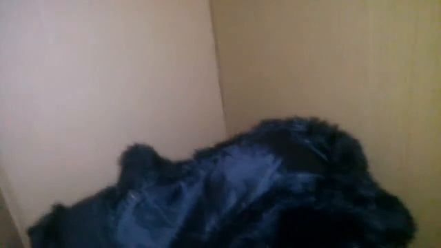 Как он туда пролез смотреть онлайн