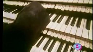 Lene Lovich Bird Song