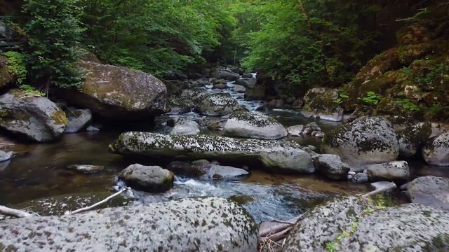 [ Просто послушайте 3 секунды ] Вы будете счастливее и будете спать крепче, не уставая смотреть онлайн