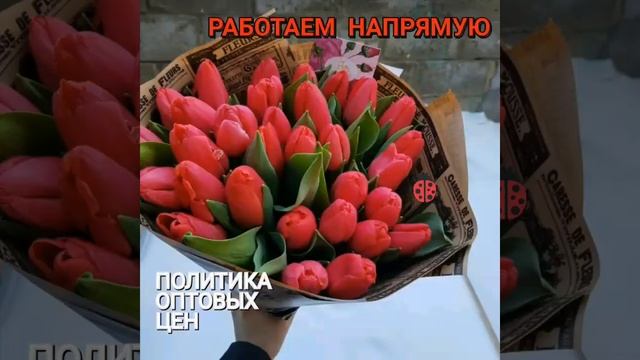 Цветочные базы Тюмени смотреть онлайн