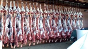 ТОП 5 бизнес идей в гараже с минимальными вложениями