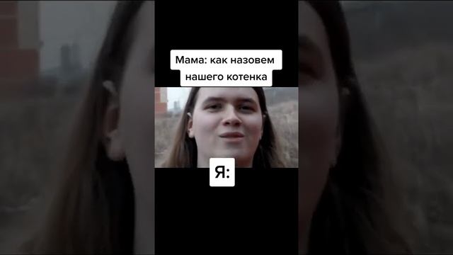 ник для котёнка от крипер 2004