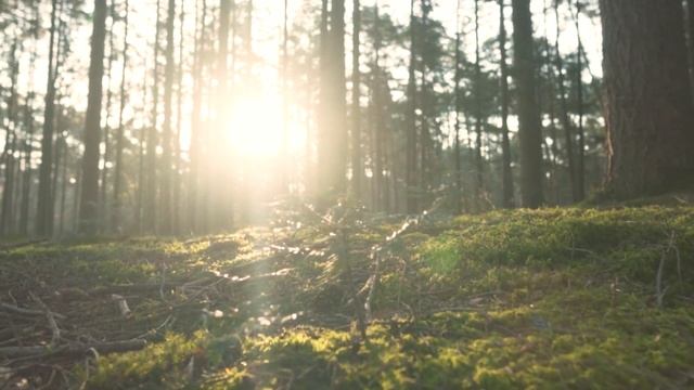 Думай О Хорошем Или Как Начать Мыслить Позитивно /  Positive Thinking