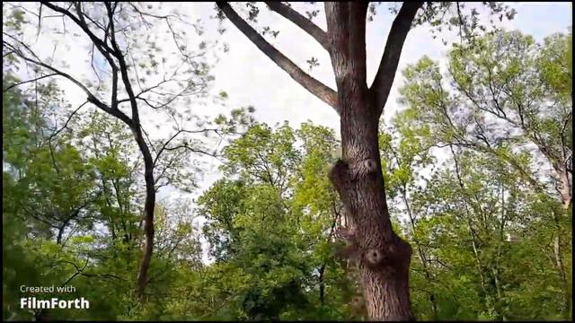 14 мая 2022. Прогулка по Краснодару.Канатная дорога- сердечный приступ для родителей 