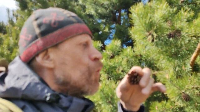 Юрьев День смотреть онлайн