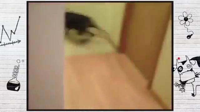 Пёс собирается на дачу смотреть онлайн