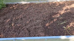 Пора подготовить грядку под озимый чеснок. Ей надо отстояться!