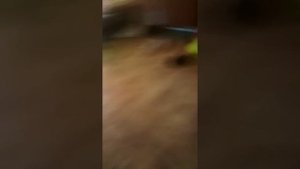 показала почти все свои надувашки