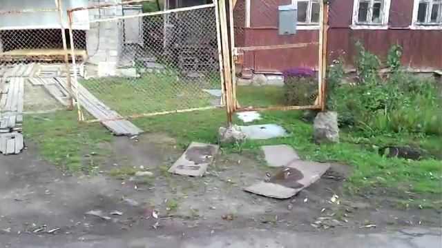 Как сделать забор и ворота образцово-показательными смотреть онлайн