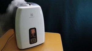 Увлажнитель воздуха -- Ньюансы !