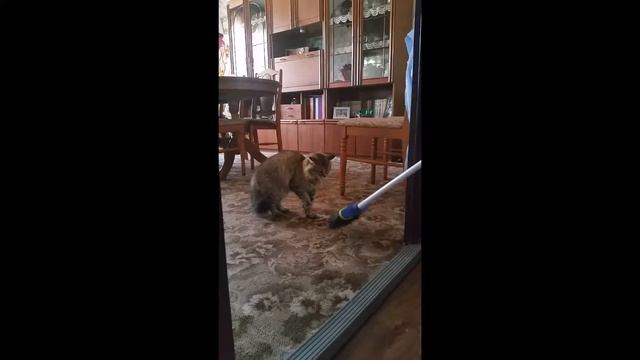 Разбудили зверя смотреть онлайн