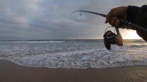 Orange County Surf Fishing MONSTER Spotfin Croaker on Light Line