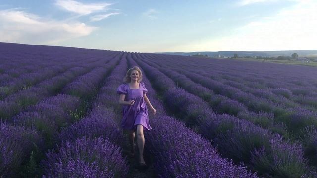 Девушка в поле. Поля. Концерты в лавандовых полях в крыму. Пауль аллен. Фотосессия в лавандовом поле.
