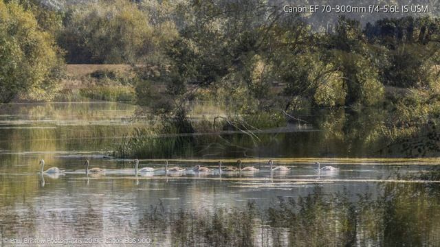 Canon EOS 90D - Slideshow смотреть онлайн