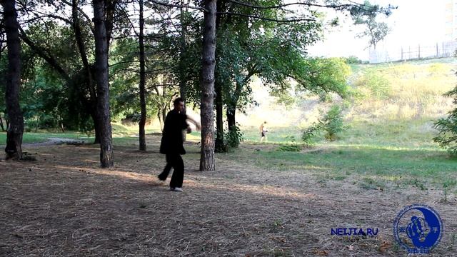 18 forms Chen family taijiquan / 18 форм тайцзицюань семьи Чэнь смотреть онлайн