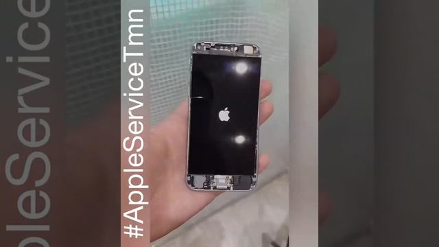 iPhone 6 замена стекла iPhone Тюмень смотреть онлайн