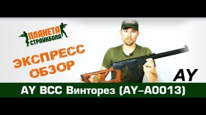 Обзор винтовки AY ВСС "Винторез" (AY-A0013)