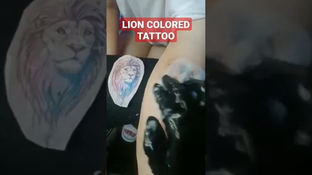 LION COLORED TATTOO DESIGN#tattoo