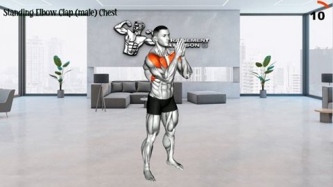 Science De L'entraînement Des Biceps