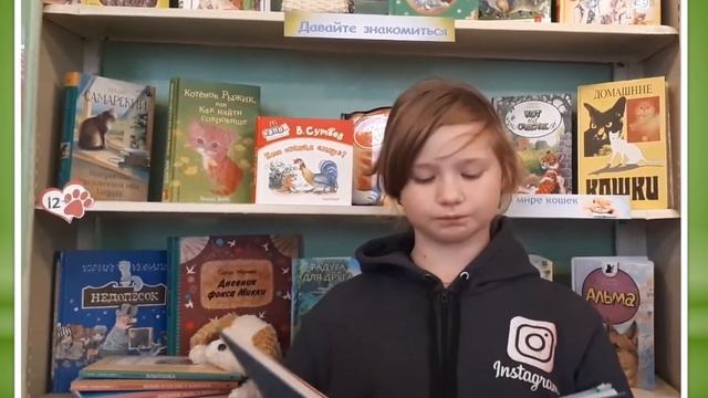 Видеопрезентация «Домашние животные». смотреть онлайн