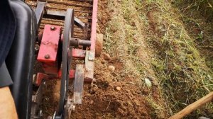 Кентавр т 18д копка картофеля_1080p.mp4