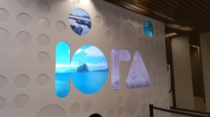 Поездка на "ЮГА" #семейкаблохиных