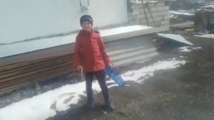 как сделать ловушку для ворон