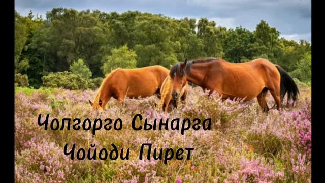 Текст песни "Аттар аттар" Алексей Тазранов смотреть онлайн