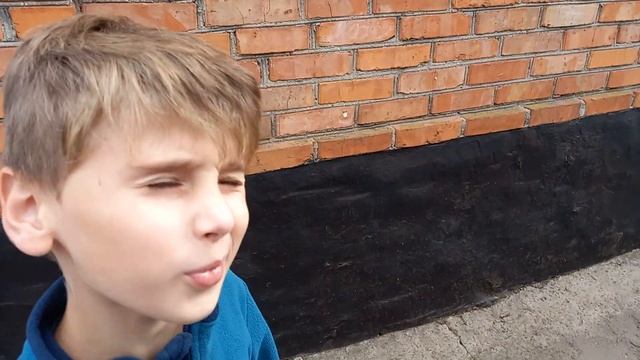 Мои домашние животные. Любимые питомцы. Знакомтесь.